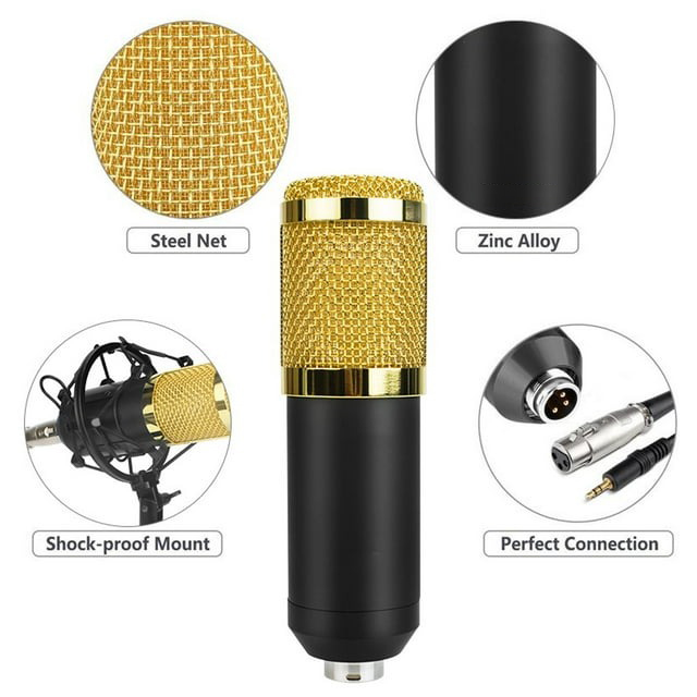 1 Professional Condenser Microphone with V8 Soundcard